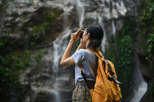 blog